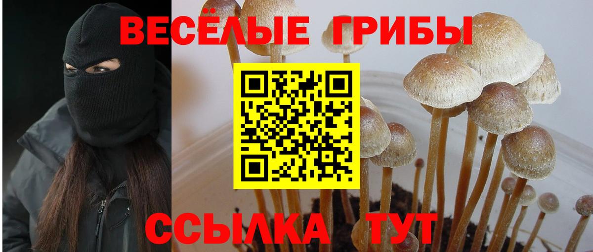 Волгодонск  Псилоцибиновые грибы прущие грибы  Вход с VPN  Галлюциногенные грибы ЛСД 